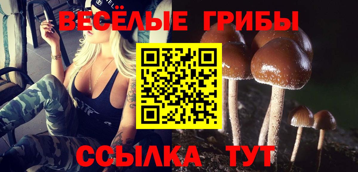 Галлюциногенные грибы Psilocybe  Вход с VPN  Домодедово 